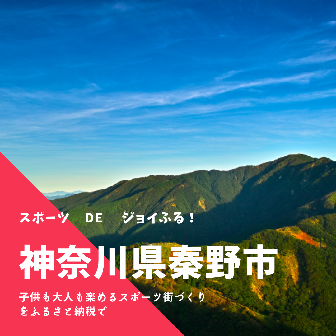 【神奈川県秦野市】ふるさと納税でスポーツで育つ・学ぶ・楽しむ秦野市！！(スポーツ de ジョイふる！) ふるスポ！